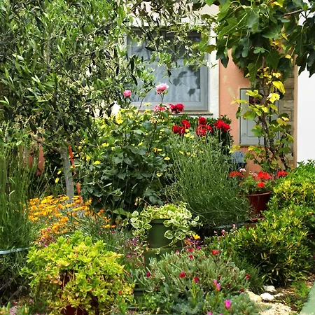 With Parking Space - 10407 דירה